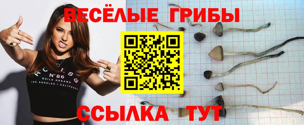 продажа наркотиков  Галлюциногенные грибы мухоморы  Псилоцибиновые грибы GOLDEN TEACHER  Вход с VPN  Надым 
